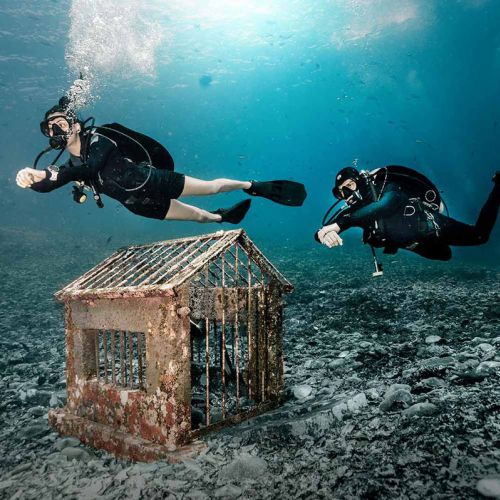 Fourth Element Thermocline spodenki damskie (TL2WS)